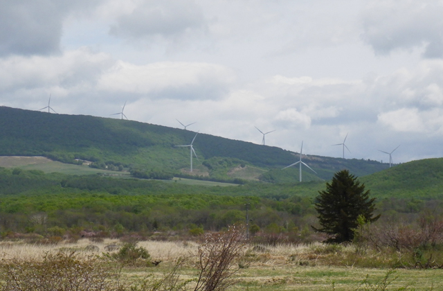 風力発電用の風車が並んでいる画像