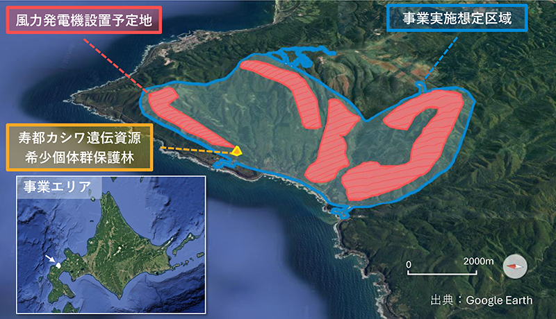 島牧風力発電事業の事業想定区域図